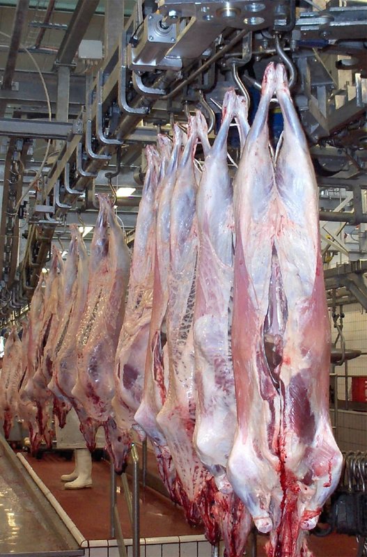 Slaughterhouse equipment